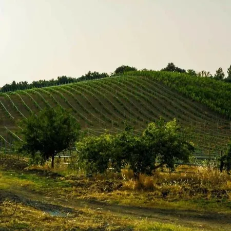 Feudo Tudia Séjour à la ferme