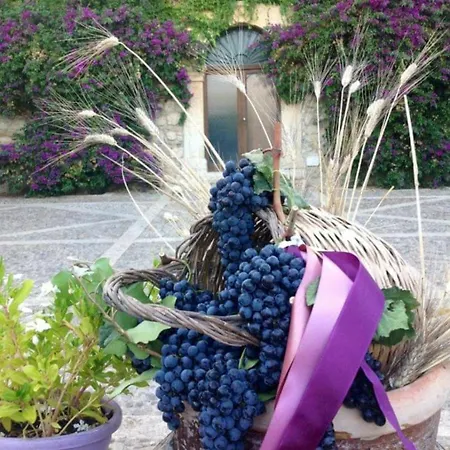 Vakantieboerderij Feudo Tudia *